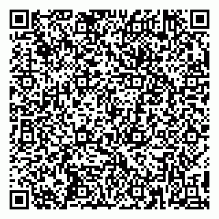 vCard 79390004033