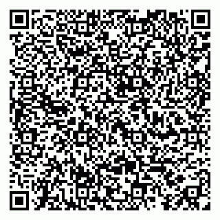 vCard 79390004035