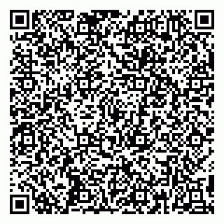 vCard 79390004074