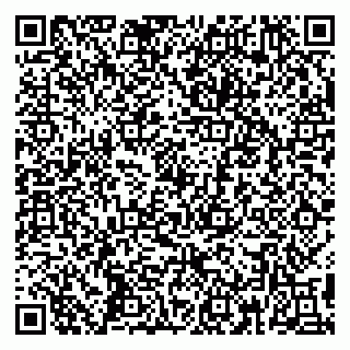 vCard 79390004077