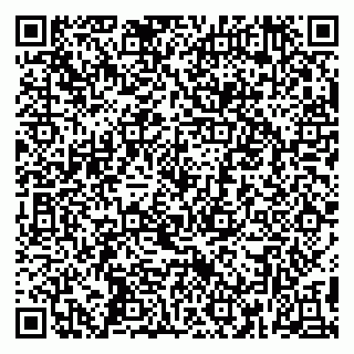 vCard 79390004111