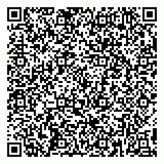 vCard 79390004135