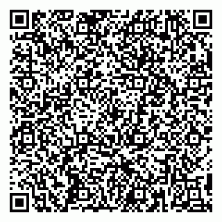 vCard 79390004137