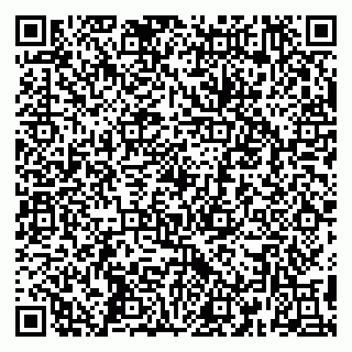 vCard 79390004297
