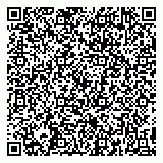 vCard 79390004313