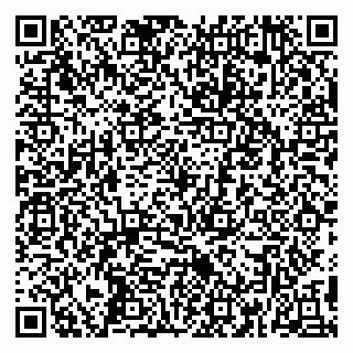 vCard 79390004351