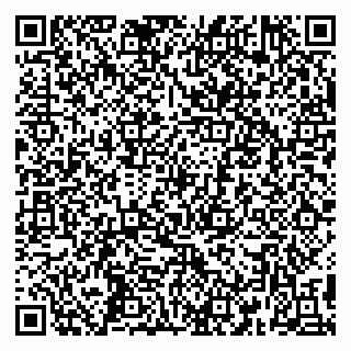 vCard 79390004593