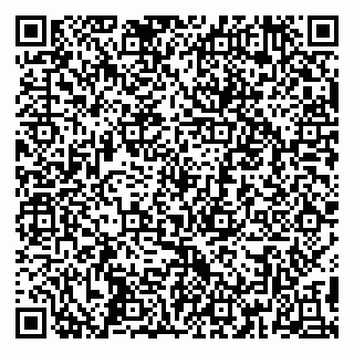vCard 79390008001