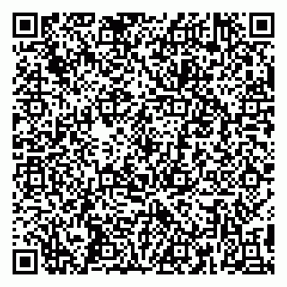 vCard 79390008013