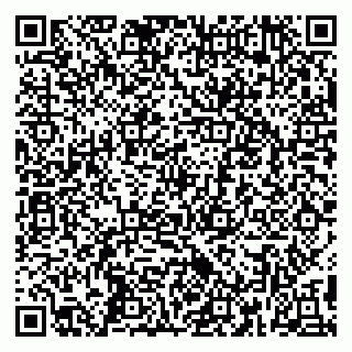 vCard 79390008111