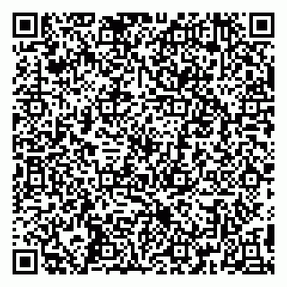 vCard 79390008381