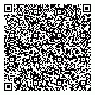vCard 79390009133