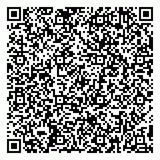 vCard 79390009171