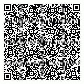 vCard 79390009181