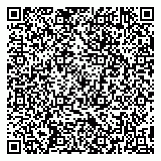vCard 79390009203