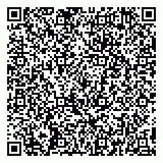 vCard 79390009741