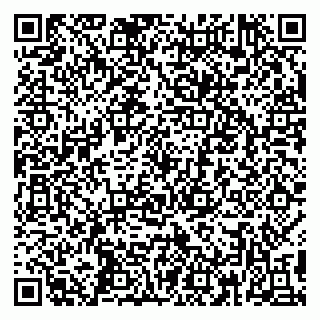 vCard 79390009873
