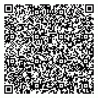 vCard 79391110011