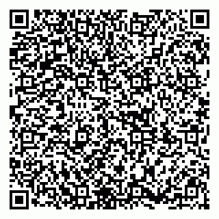 vCard 79391110133
