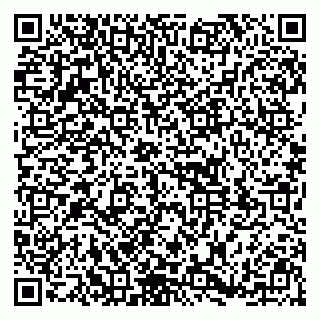vCard 79391110209