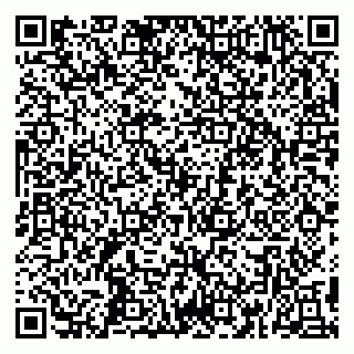 vCard 79391110255