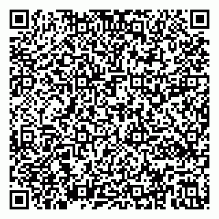 vCard 79391110321