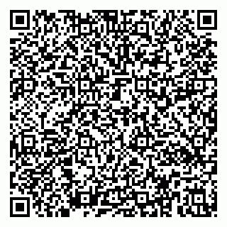 vCard 79391110329
