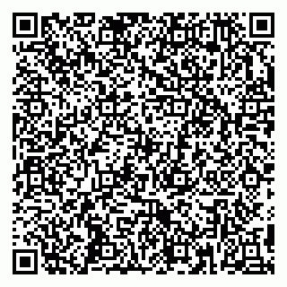 vCard 79391110330