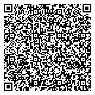 vCard 79391110332