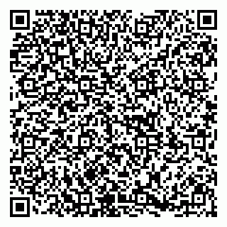 vCard 79391110377