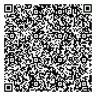 vCard 79391110381