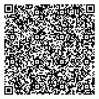 vCard 79391110389