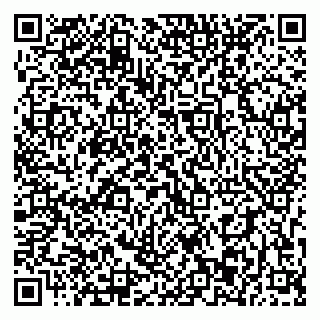 vCard 79393003204