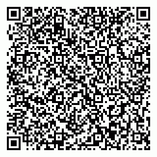 vCard 79393003303