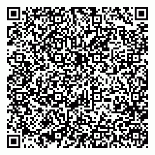 vCard 79393003373
