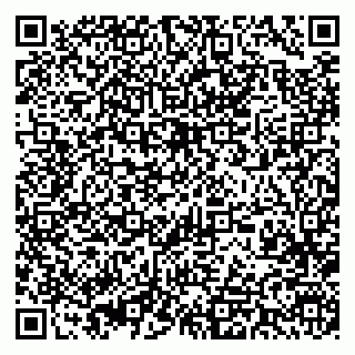 vCard 79393003531