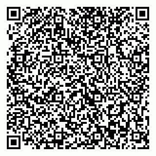 vCard 79393003573