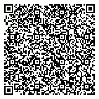 vCard 79393003604