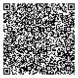 vCard 79393003613