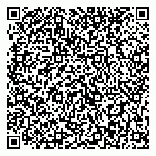 vCard 79393003621