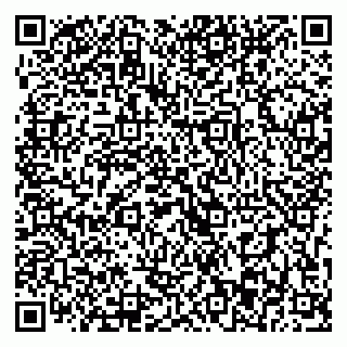 vCard 79393003711
