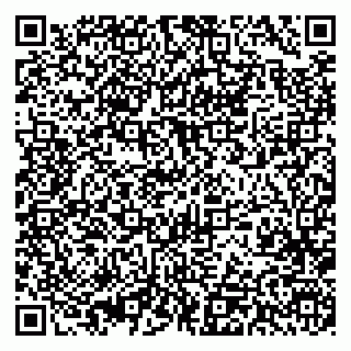 vCard 79393003729