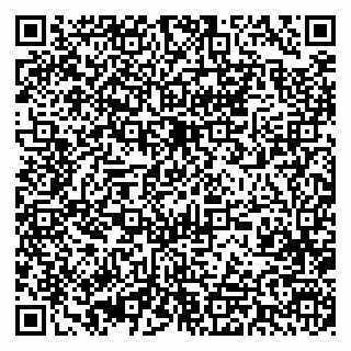 vCard 79393003731