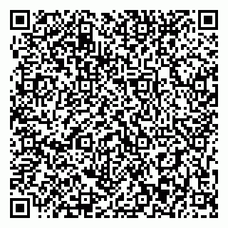 vCard 79393003732