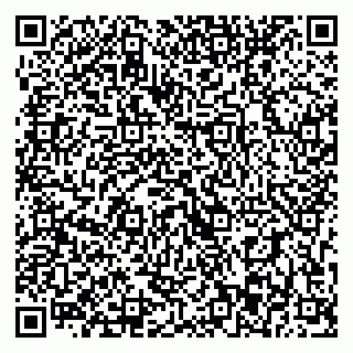 vCard 79393003741