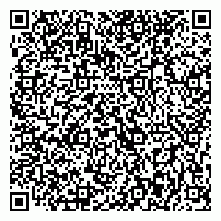vCard 79393003822