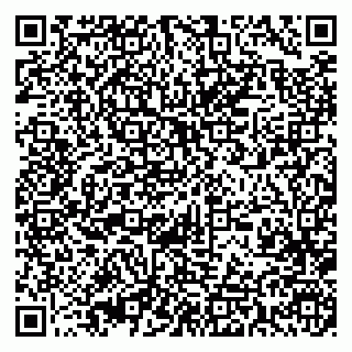 vCard 79393003833