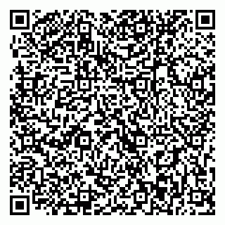 vCard 79393003841