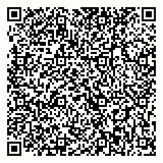 vCard 79393003865