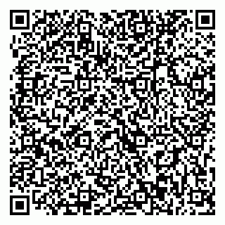 vCard 79393003867